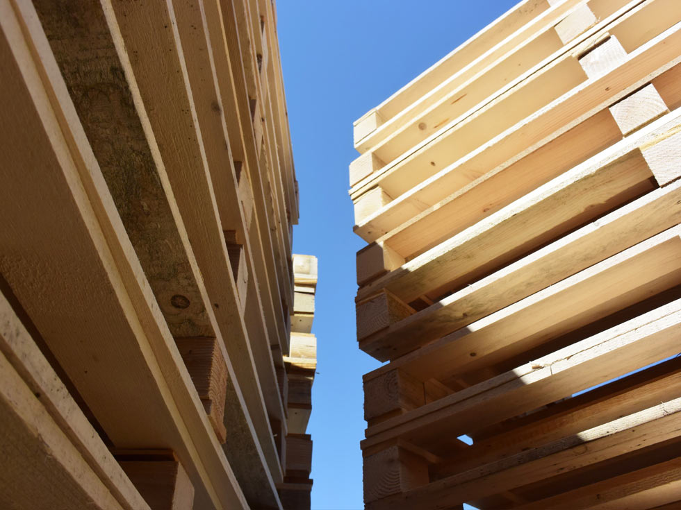pallets legno ancona