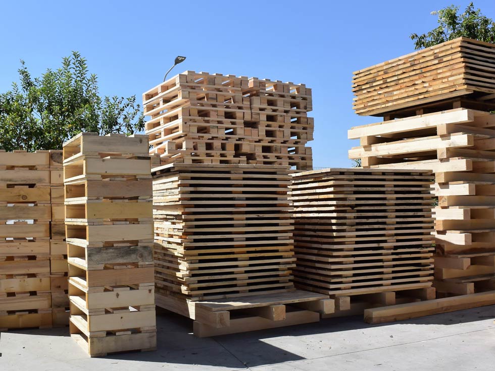 vendita pallet ancona