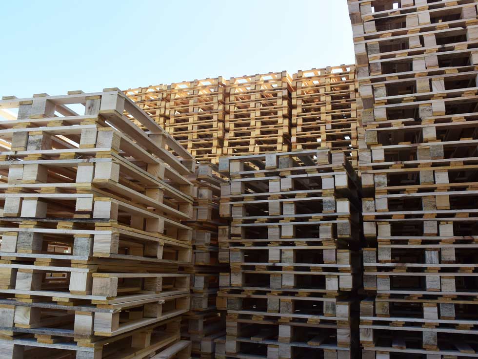 vendita pallets macerata
